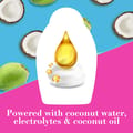 Coconut Water Shampoo 385Ml