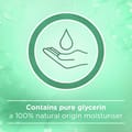Anti-Bacterial, Micellar Hand Wash, Mint, 500ml