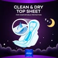 Mesh Maxi Thick Night Sanitary Pads 8Pcs