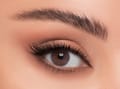 Linda Color Contact Lens -Tanzanite