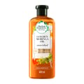 Herbal Moringa Oil 400 Ml