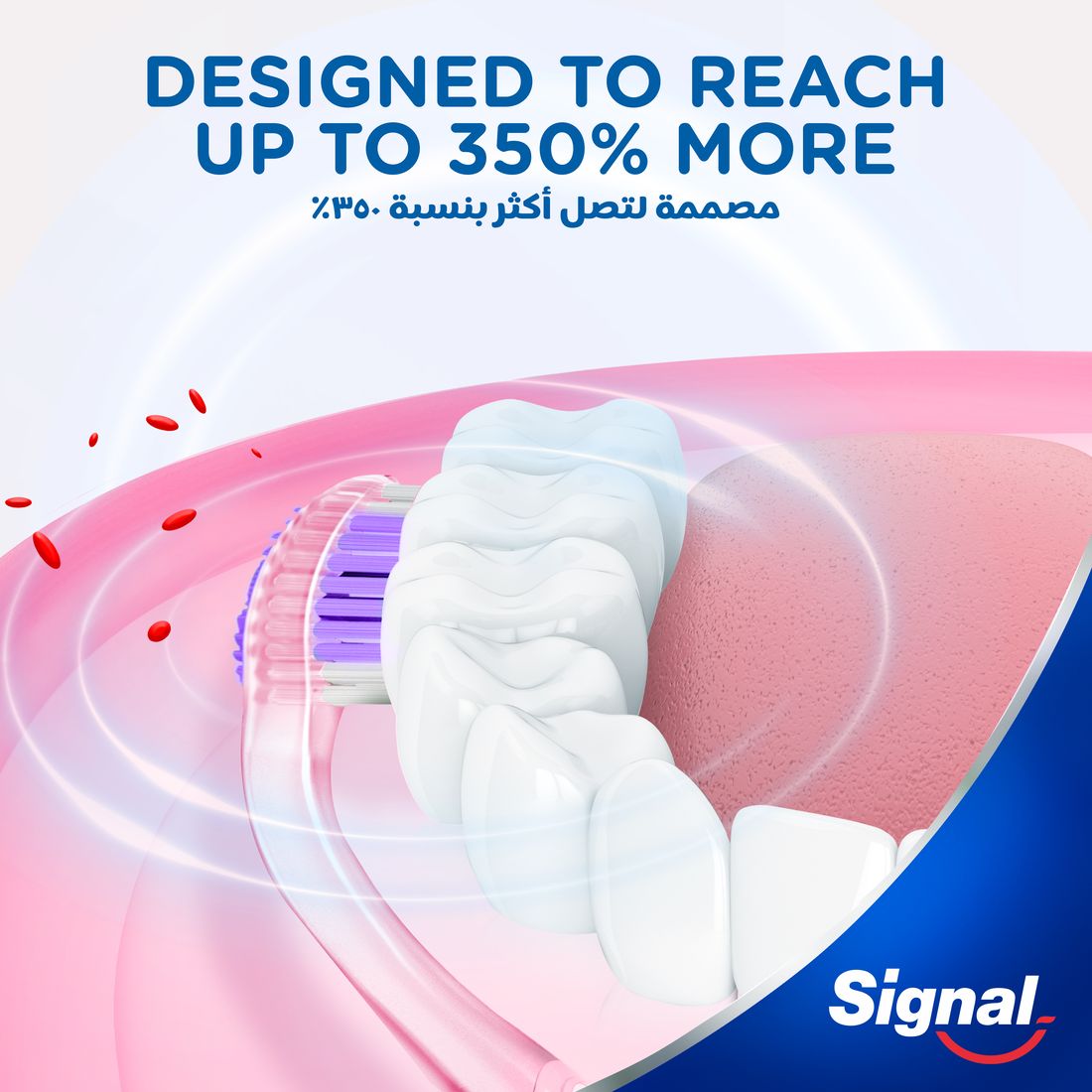 Signal Tb 4D Sensitive Extra Soft  2Pcs