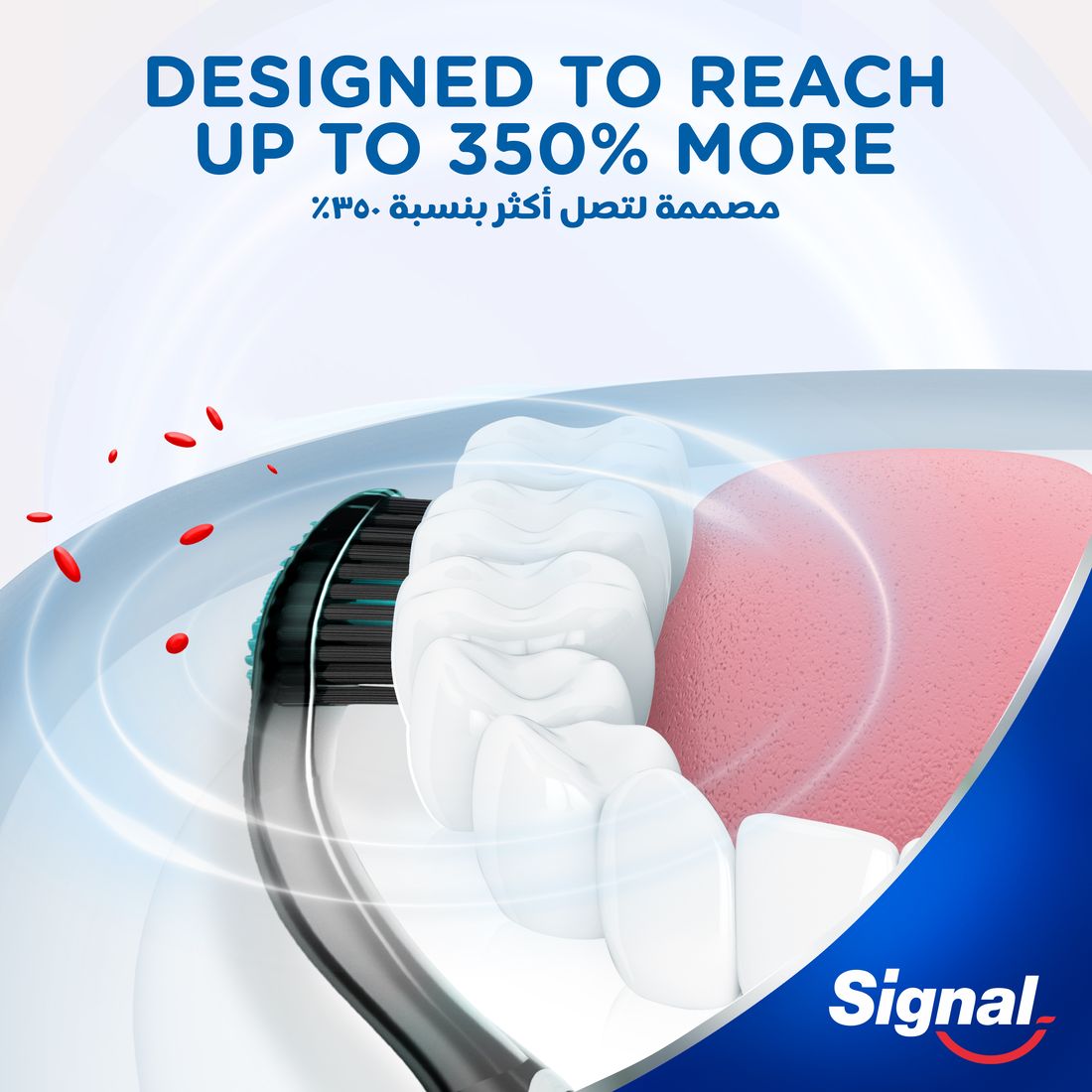 سيجنال تي بي 4D مضاد للبكتيريا، قطعتين