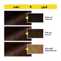 غارنييه أوليا، 4.8 بني موكا، صبغة دائمة للشعر مع ٦٠٪ زيت