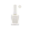Karen & carla Nail Polish 106