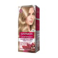 Garnier Colr Intensity 8.1