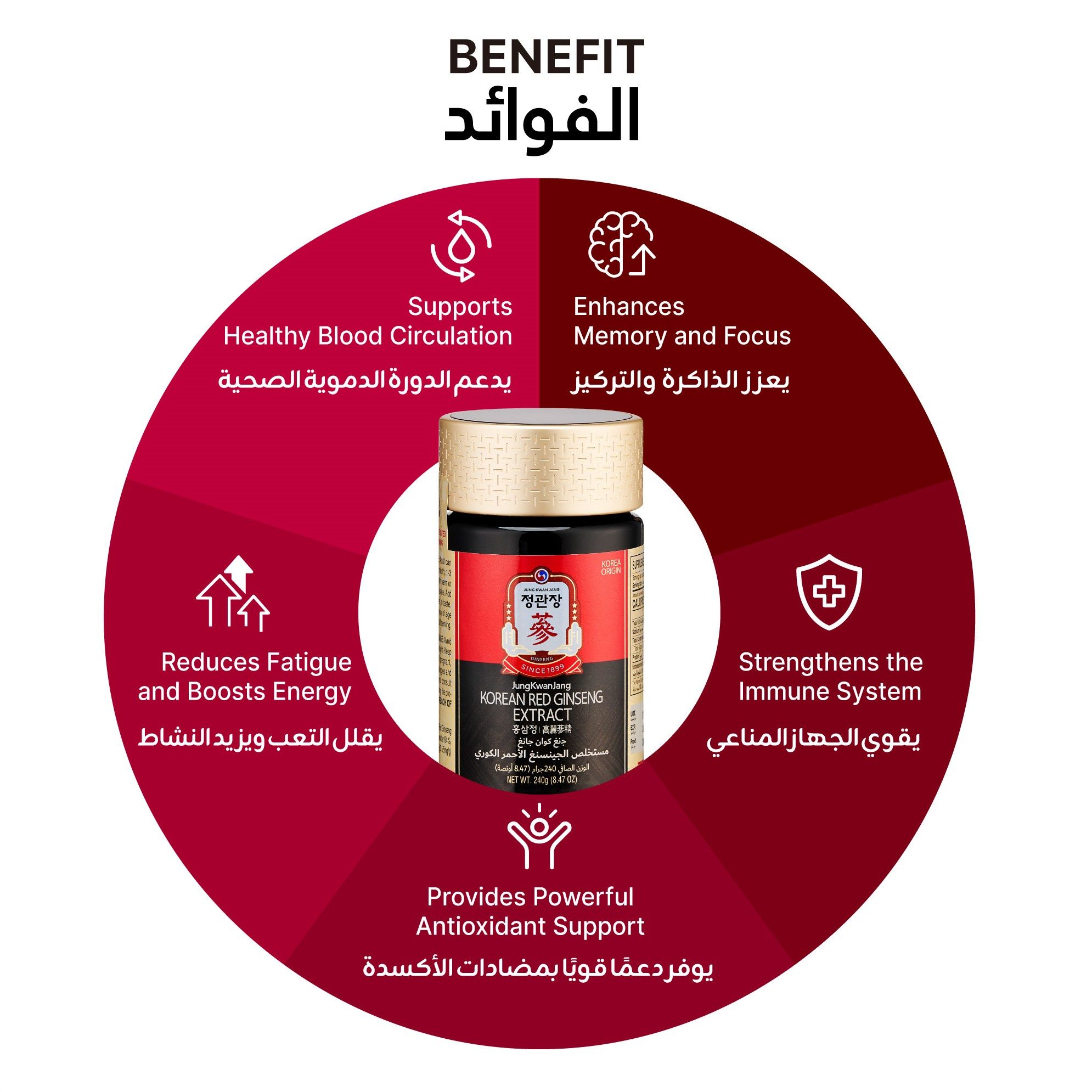 JKJ Korean Red Ginseng Extract 240G  Jar